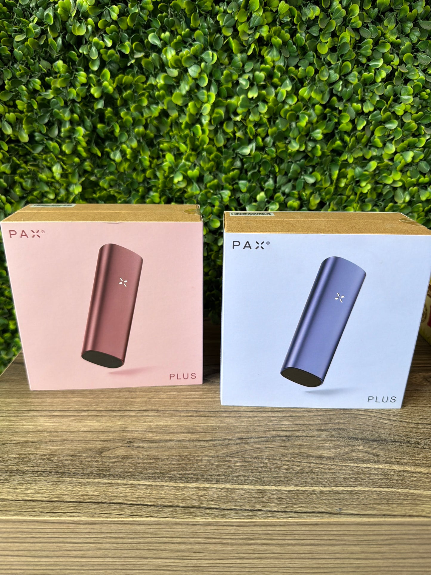 PAX PLUS TODOS LOS COLORES