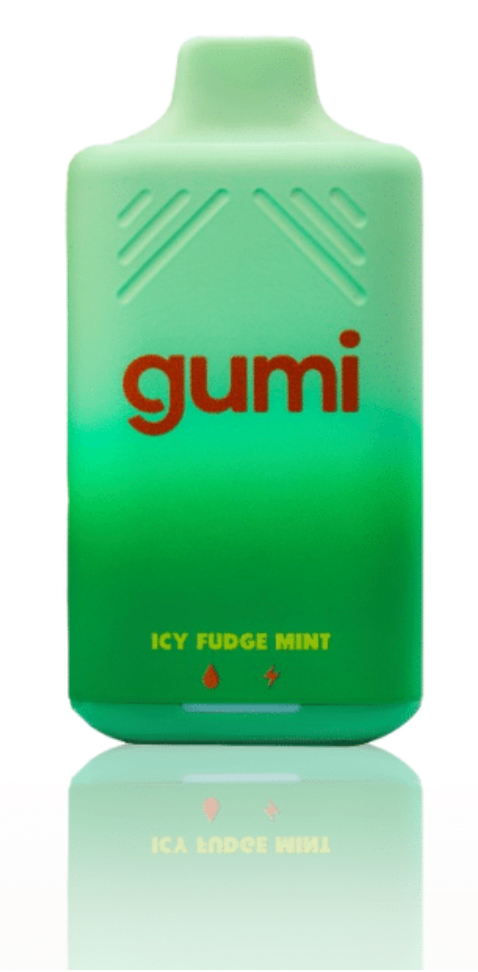 GUMI ICY FUDGE MINT 8000 PUFF