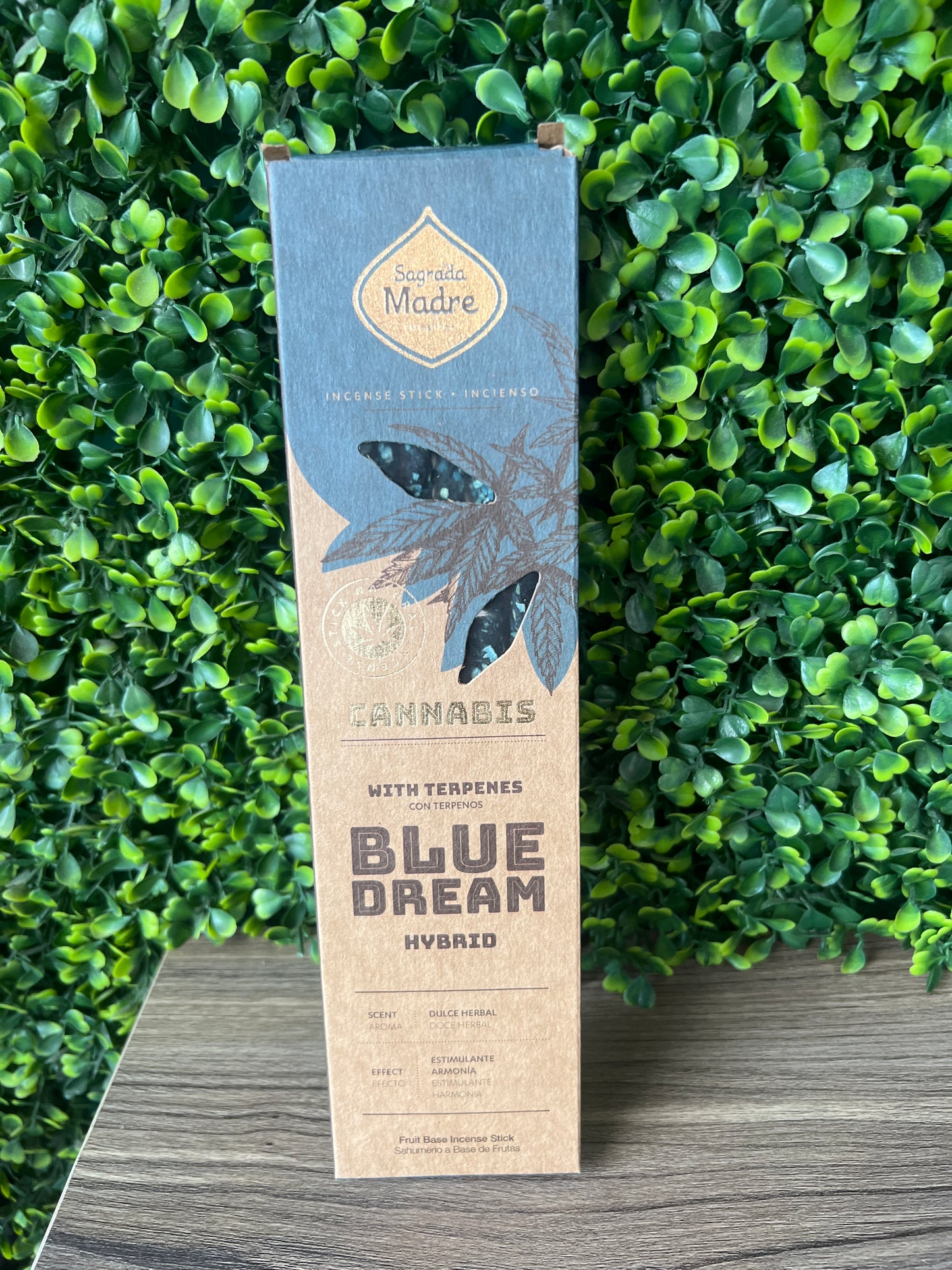 SAGRADA MADRE GROW CANNABIS